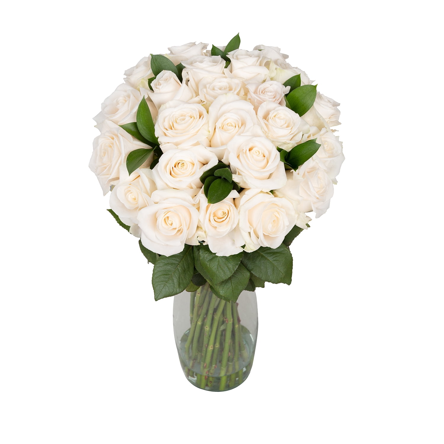 KaBloom : Fall Collection - Bouquet of 12 Red Roses - Gift for Birthday, Anniversary, Get Well, Thank You, Valentine, Mother's Day Fresh Flowers - Walmart.com KaBloom : Fall Collection - Bouquet of 12 Red Roses - Gift for Birthday, Anniversary, Get Well, Thank You, Valentine, Mother's Day Fresh Flowers - Walmart.com