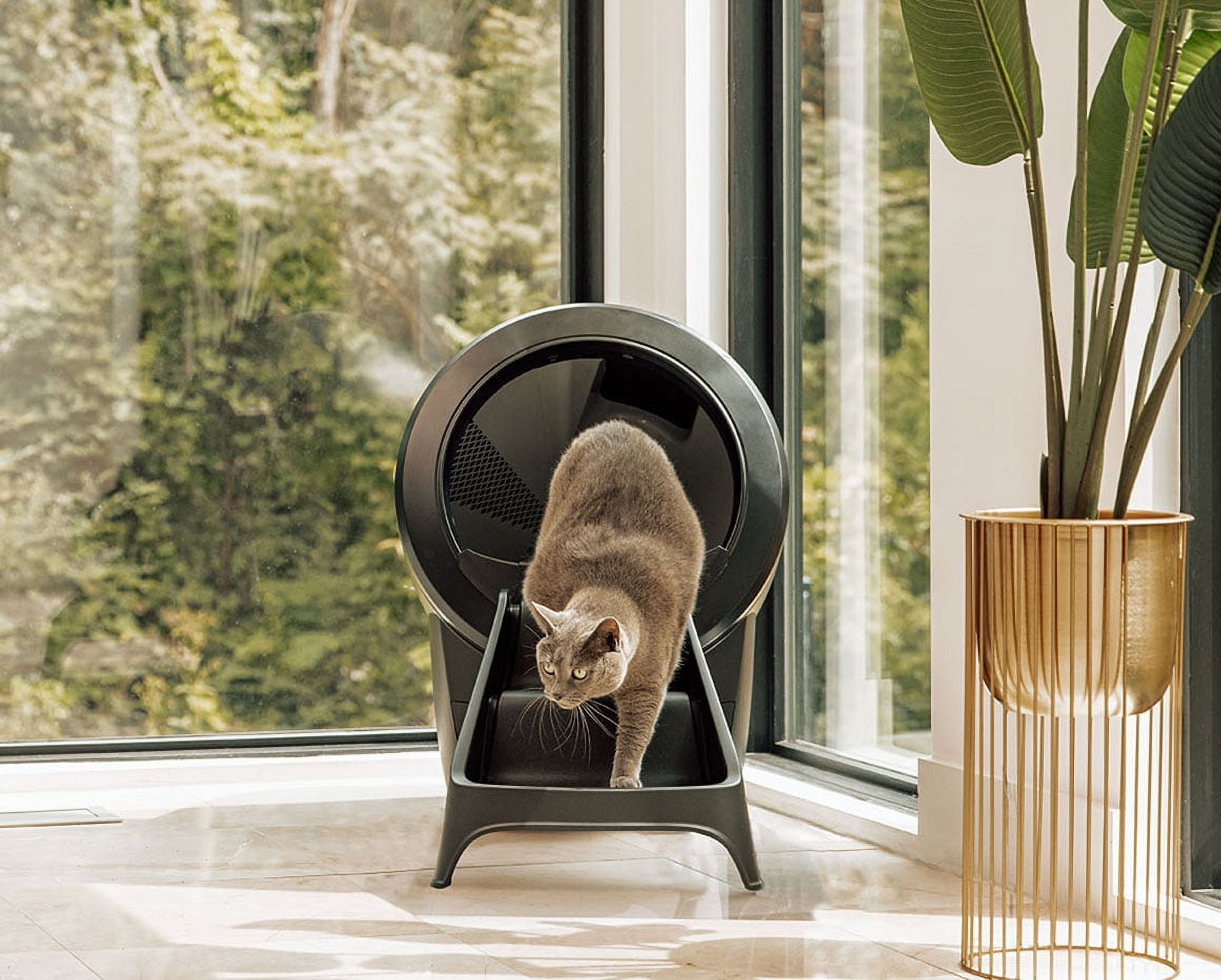 Litter-Robot 4 Ramp for Automatic Litter Box, White