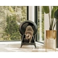 thumbnail image 3 of Litter-Robot 4 Ramp for Automatic Litter Box, White, 3 of 5