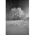thumbnail image 2 of Mierzejewski, Krzysztof 17x24 White Modern Wood Framed Museum Art Print Titled - The First Snow, 2 of 4