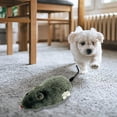 thumbnail image 3 of TIELUTT 16cm On Chain Model Toy for Playing with Cats and Dogs A Toy That Can Run and Its Tail Dog for Puppies Teething Rope for Large Breed Dogs Dog Interactive Beginner Tough for Dogs Large Puppy S, 3 of 4