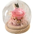 thumbnail image 1 of Valentine's Day Gift For Her Preserved Rose In Glass Dome Light Up Flower Gift Anniversary Birthday Home Decor(Red),Pink, 1 of 3