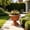 Brown, variant on European Vintage Tower Planter 12" Plastic Decorative Flower Pot for Garden,White