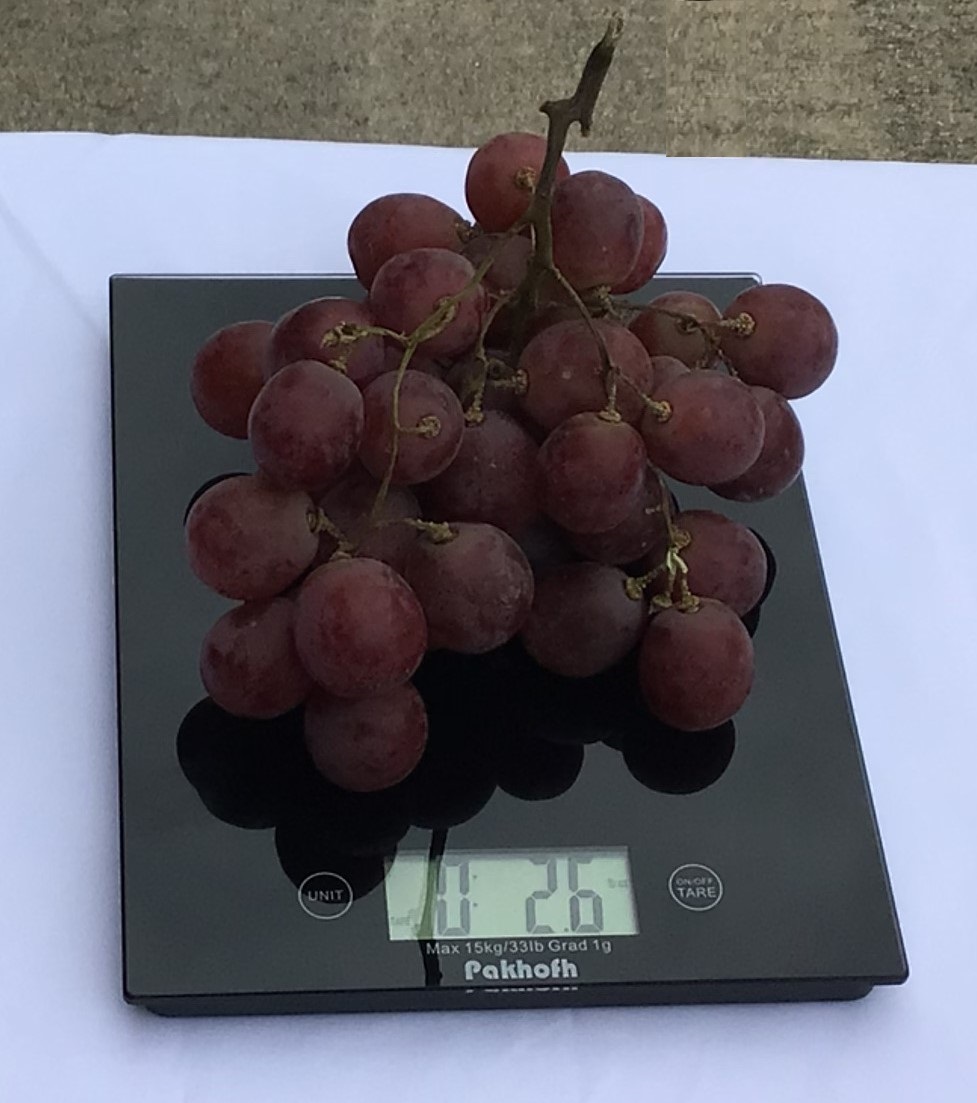 15kg/33Lb Pakhofh Weighing Digital Electronic Kitchen Scale