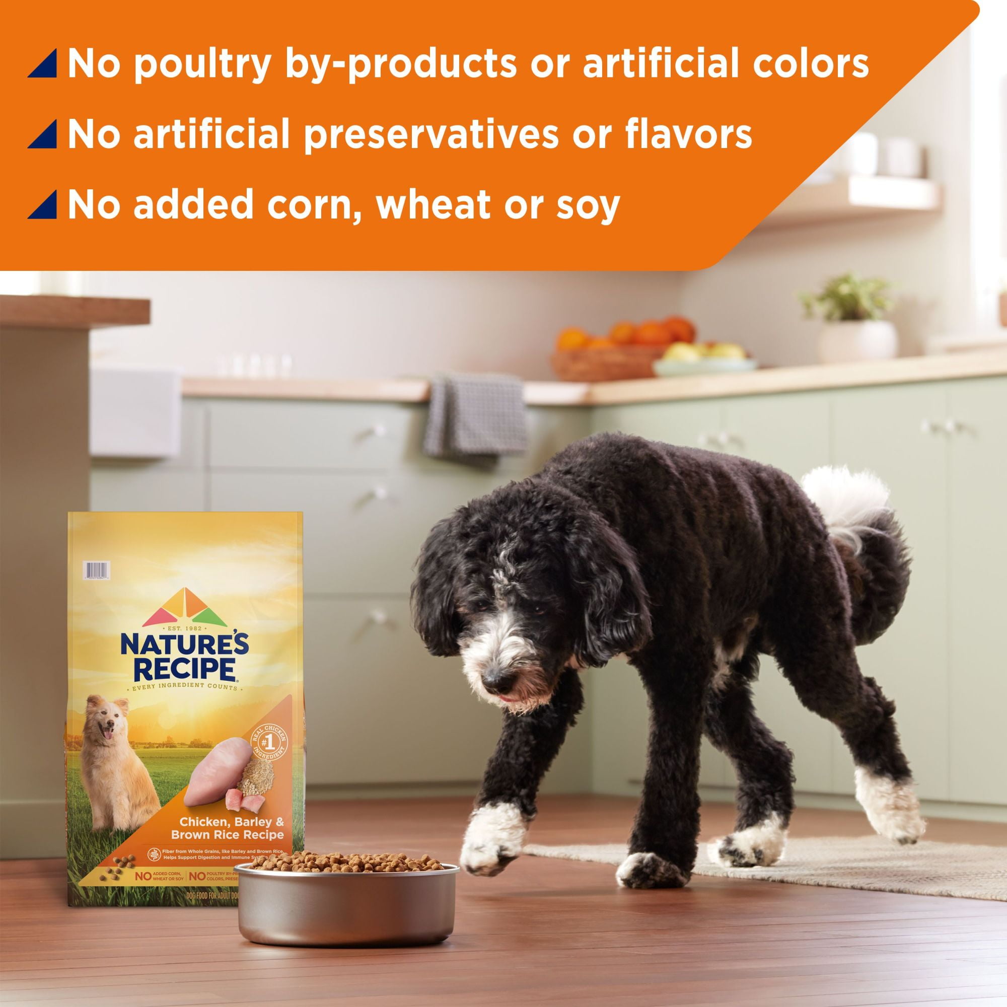 Nature's Recipe Original Dry Dog Food for Adult Dogs, Chicken & Rice Recipe, 12 lb Bag - Walmart.com