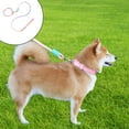 thumbnail image 1 of LSLJS Pet Leash Gradient Color P Rope Multifunctional Dog Walking Rope Walking Rope Explosion Proof and Dog Rope Pet Supplies Nylon Pet Leash, 1 of 6
