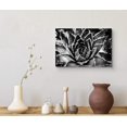 thumbnail image 3 of wall26 Canvas Wall Art Sunburst Aeonium Succulent Botanical Plants Photography Modern Art Farmhouse/Country Closeup Dramatic Black and White for Living Room, Bedroom, Office - 24x36 inches, 3 of 4
