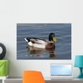 thumbnail image 1 of Wild Duck Wall Mural by Wallmonkeys Peel and Stick Graphic (24 in W x 16 in H) WM184140, 1 of 4