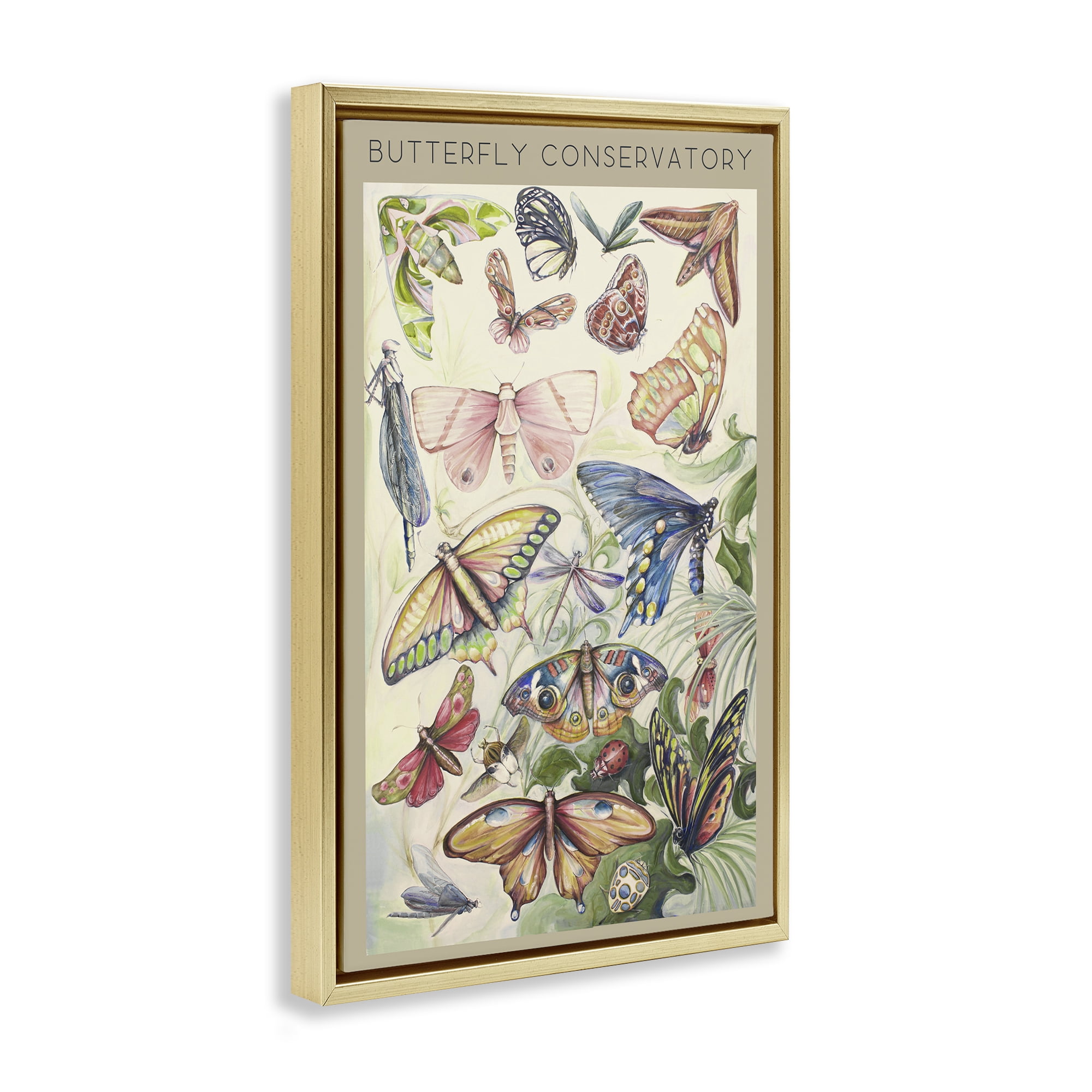 Stupell Industries Butterfly Conservatory Insects Gold Framed Floater Canvas Wall Art, design by Diannart