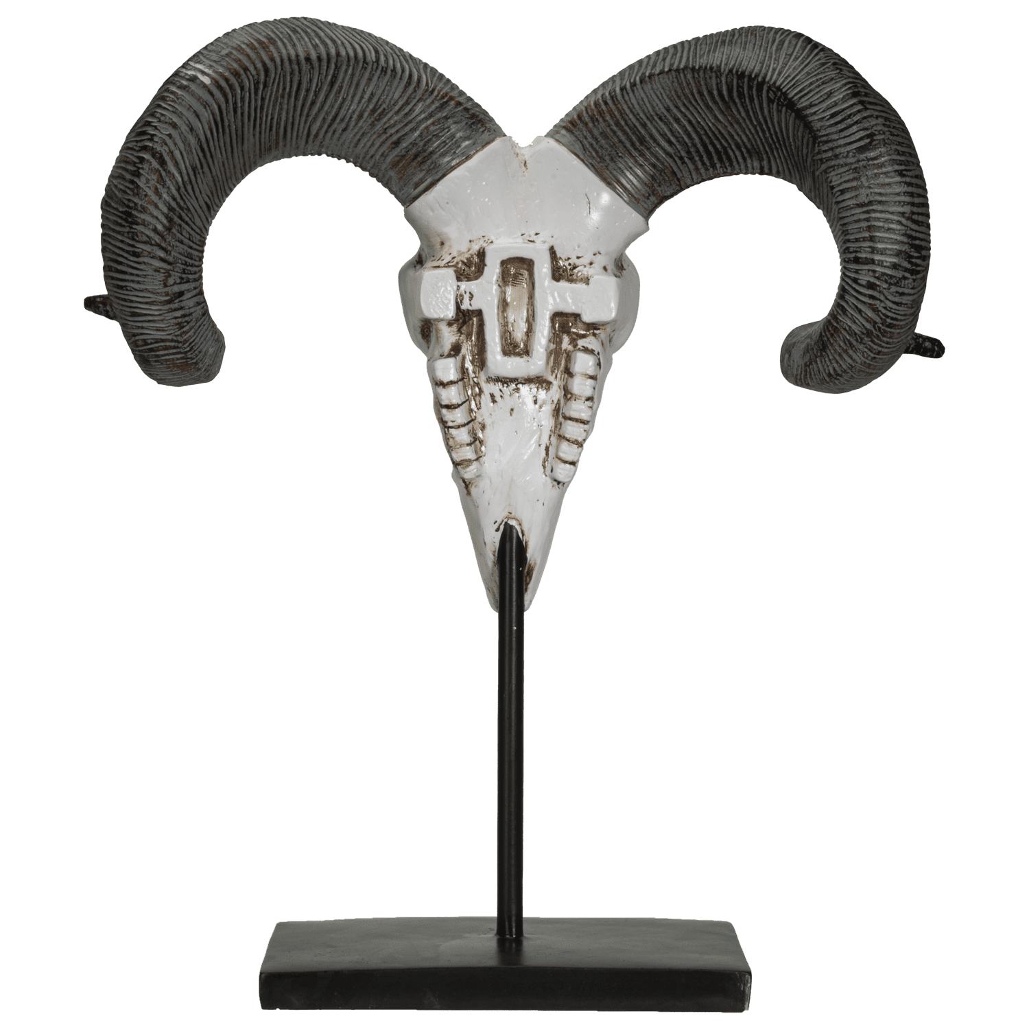 Palaney Corsican Ram Skull and Horns Trophy Wall Décor