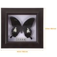 thumbnail image 5 of Espécimen de mariposa simulado, decoración de espécimen hecho a mano, espécimen colgante de pared, decoración de pared, 5 of 5
