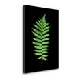 thumbnail image 2 of Tangletown Fine Art 'Floral Color - 19' Graphic Art Print on Wrapped Canvas, 2 of 2