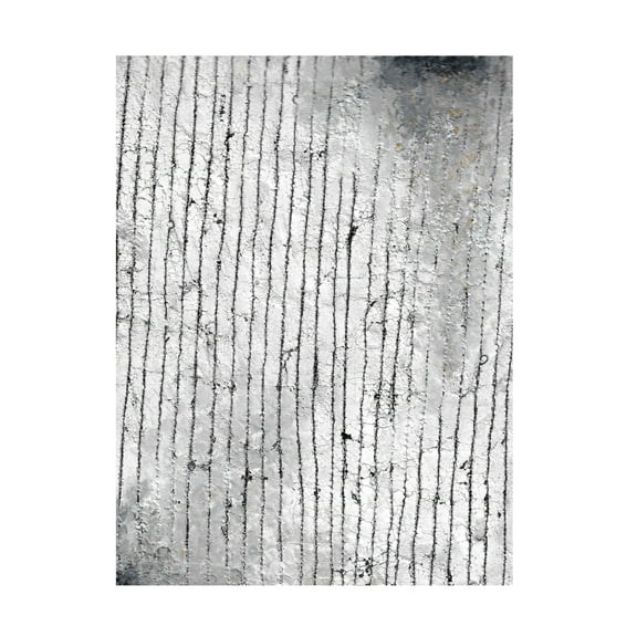 Canvas Wall Art - Maliq 'Stone 1' Wall Art for Living Room, Bedroom, or Office Décor by Trademark Fine Art - 14 x 19 Inches