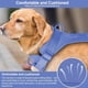 thumbnail image 4 of Arnés ligero antitirones para perros, ajustable, duradero, de malla transpirable, con cojín suave y cómodo para perros, 4 of 5
