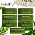 thumbnail image 3 of Kidney Cleanse Detox & Repair and Bladder Support- Kidney Support Supplement for Kidney Restore With Chanca Piedra,Cranberry, Juniper Berries for Kidney Detox and Bladder Health.60 Day Supply, 3 of 6
