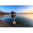 thumbnail image 2 of Scholz, Markus 32x23 White Modern Wood Framed Museum Art Print Titled - Schwan am Ammersee, 2 of 4
