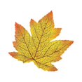 thumbnail image 1 of 11 Colors Artificial Maple Leaves Fake Fall Leaf Decor Autumn Leaves Events Party Shower Decor D, 1 of 8