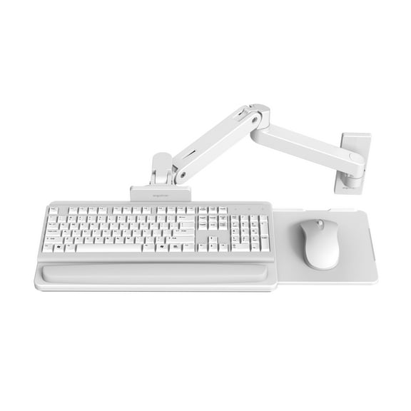 Ergotron 45-685-290 Lx Pro Arm Keyboard Tray Wall Mount Esw