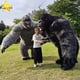 thumbnail image 2 of Funtoys Ape disfraz de mascota gorila inflable 2,6 m King Kong personalizado Anime Cosplay mascota tema vestido de lujo carnaval MOQ 1, 2 of 4
