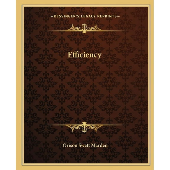 Efficiency (Paperback)