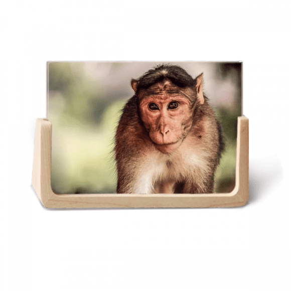 Monkey m Animal Photo Wooden Photo Frame Tabletop Display