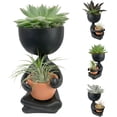 thumbnail image 5 of Zen Harmony Planter - Live Plants in a Decorative Pot - Cactus Succulent Air Plant - A Symbol of Serenity and Natural Beauty, 5 of 5