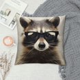 thumbnail image 2 of COMIO  Raccoon Throw Pillow Covers,A Cute Funny Raccoon Wearing Glasses Pillowcase Home Decor for Sofa Bed Living Room, 2 of 5