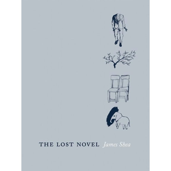 The Lost Novel (Paperback)