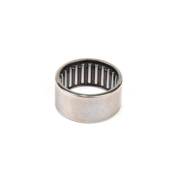 Transfer Case Output Shaft Bearing