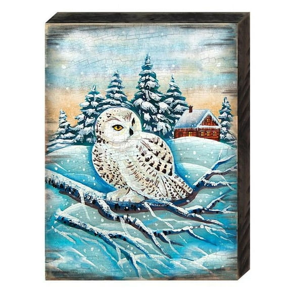 Designocracy 95213-08 Winter Owl Wooden Block Graphic Art Design