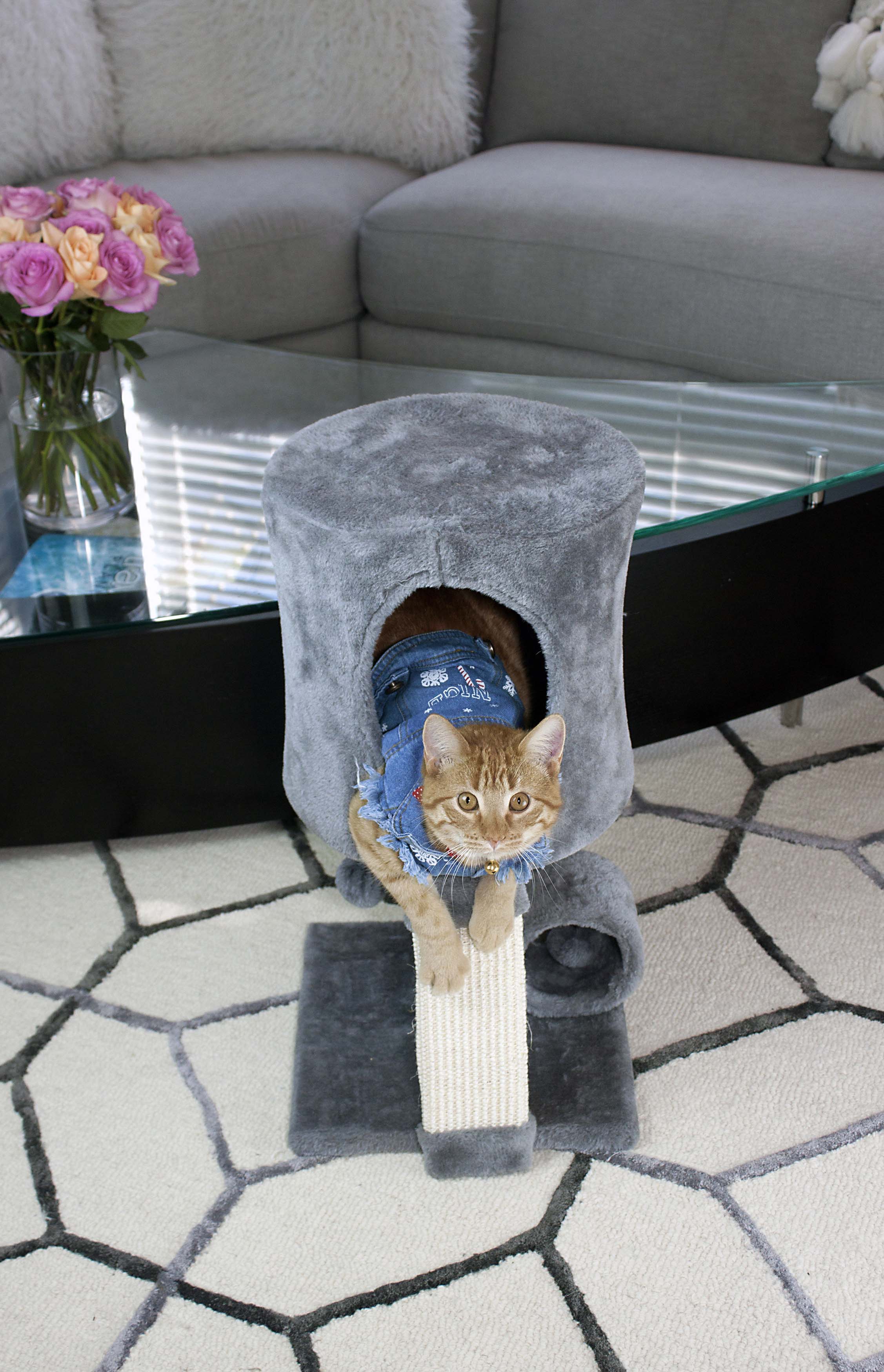 Cat Craft 23-in Cat Tree & Condo Scratching Post Tower, Gray - image 5 of 6