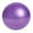 PURPLE, variant on 2 Pack Exercise Balls – 25cm Pilates Small Core Ball, Anti-Burst for Pregnancy, Birthing, Office Gym Training