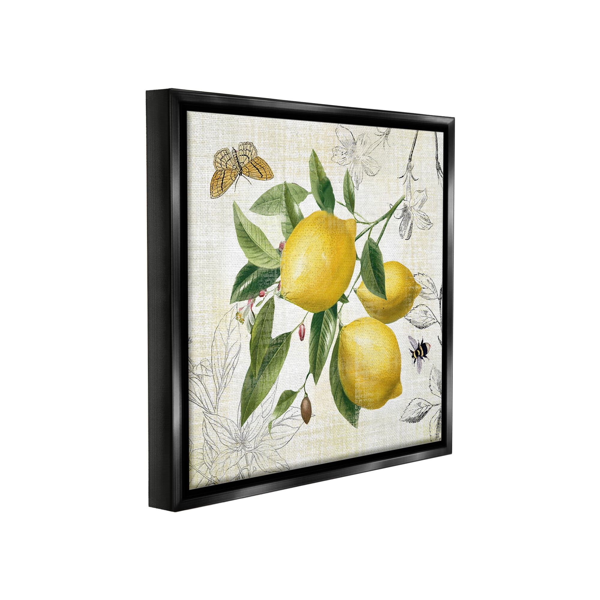 Stupell Industries Vintage Lemon Blossoms Food & Beverage Painting Black Floater Framed Canvas Art Print Wall Art, 18 x 18