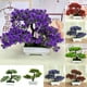 Luckyn A Simulation Lotus Pine Flower Bonsai Set Petites Plantes Vertes en Pot – image 5 sur 5