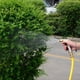 thumbnail image 5 of Aspersor de Metal de Alta Presión, Rociador de Riego Multifunción, Suministros de Riego para Jardinería Doméstica, 5 of 5