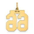 thumbnail image 3 of Finest Gold 14K Yellow Gold Medium Satin Number 66 Charm, 3 of 6