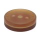 thumbnail image 1 of Push Slider Monin Toy, Patrones de Juguete Sensorial Portátil Patrones Tallado Slider Moneda Háptice para Adultos, 1 of 7