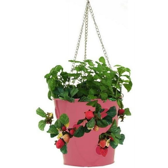 Enameled Galvanized Steel Strawberry, Herb & Floral Hanging Planter, Hot Pink
