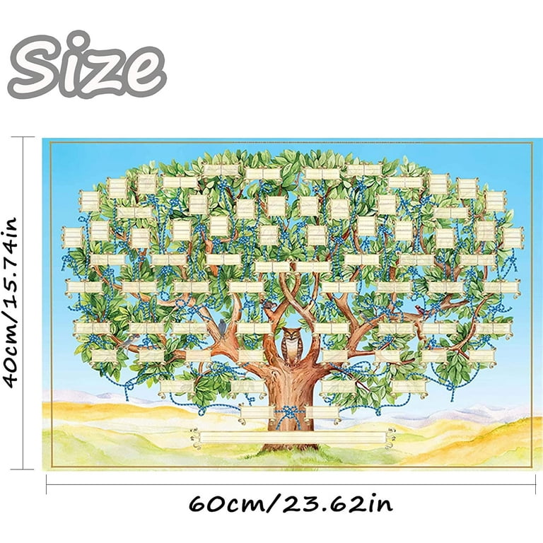 Family Tree Chart to Fill in - 16x24'' 6 Generation Genealogy Poster Blank  Fillable Ancestry Chart