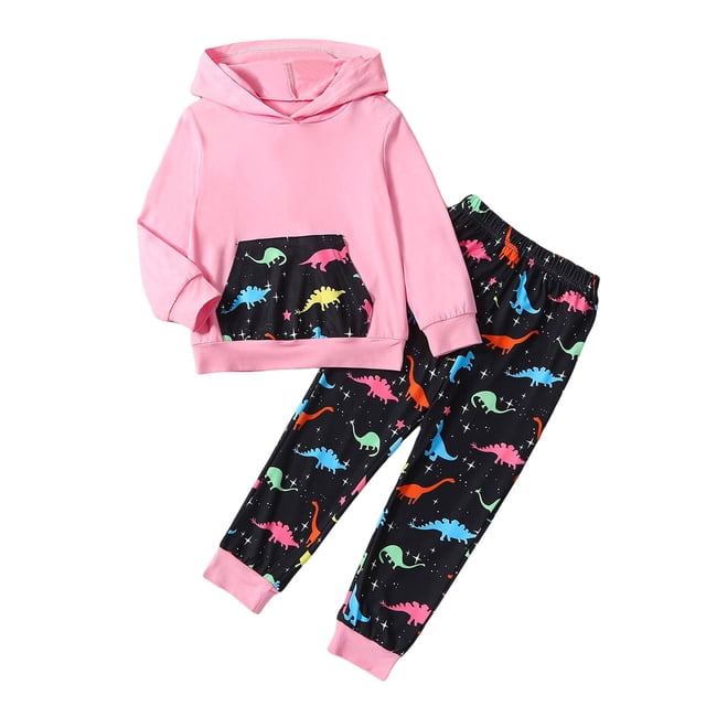 Gibobby Conjunto 2PCS niño Pantalones para niños pequeños Trajes Niñas Otoño animados Dinosaurio Impresiones Tops Pantalones Manga larga Ropa de invierno(Rosa, 3-4 Años)