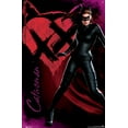 thumbnail image 4 of DC Comics Movie - The Dark Knight Rises - Catwoman Wall Poster with Push Pins, 22.375" x 34", 4 of 6
