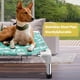 thumbnail image 2 of Cama elevada para perros Modorki para perros medianos para interiores y exteriores, 2 of 7