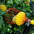 thumbnail image 5 of Fruit Head Fruit Tool Fruit Harvesting Attachment For Harvesting Fruit Fruit Tree Tool With Foam Cushion For Gathering Orange Pear Not In Trim Tool Home Decor, 5 of 6