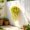 Yellow, variant on Artificial Yellow Jasmine Wall Hanging Silk Cloth Plastic Flower Vine, Indoor Balcony Courtyard Wall Decoration for Home, Garden and Year-Round Decor