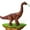 Brown, variant on Orange Projection Walking Brachiosaurus Dinosaur Toy Lays Eggs Roaring Sound Lights Kids Fun Play