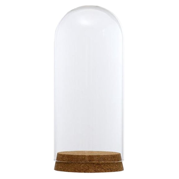 Cover Cloche Bell Jar with Wooden Cork for Table Decor DIY , 8x18cm