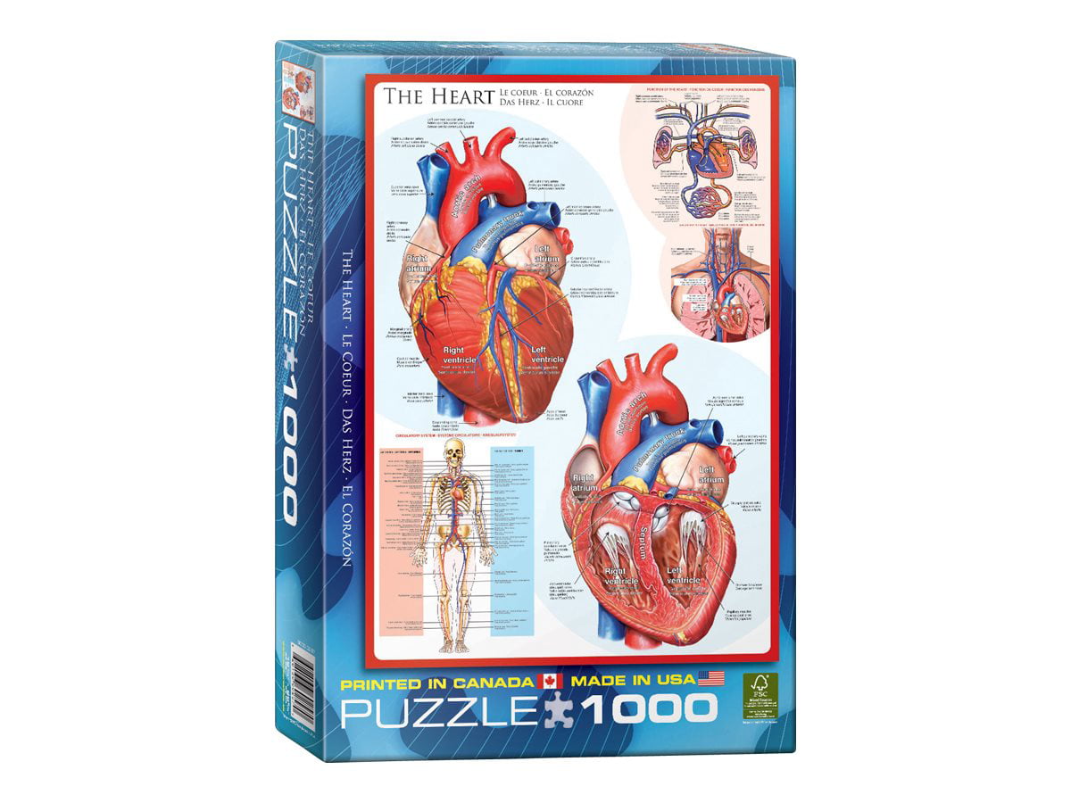 Eurographics Puzzle 1000 the Heart/il cuore/Le Coeur 