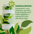 thumbnail image 4 of Clean Age AHA Deodorant for Teens | Aluminum-Free, Safe for Sensitive Skin | Sandalwood Scent | 2.5 oz, 4 of 9