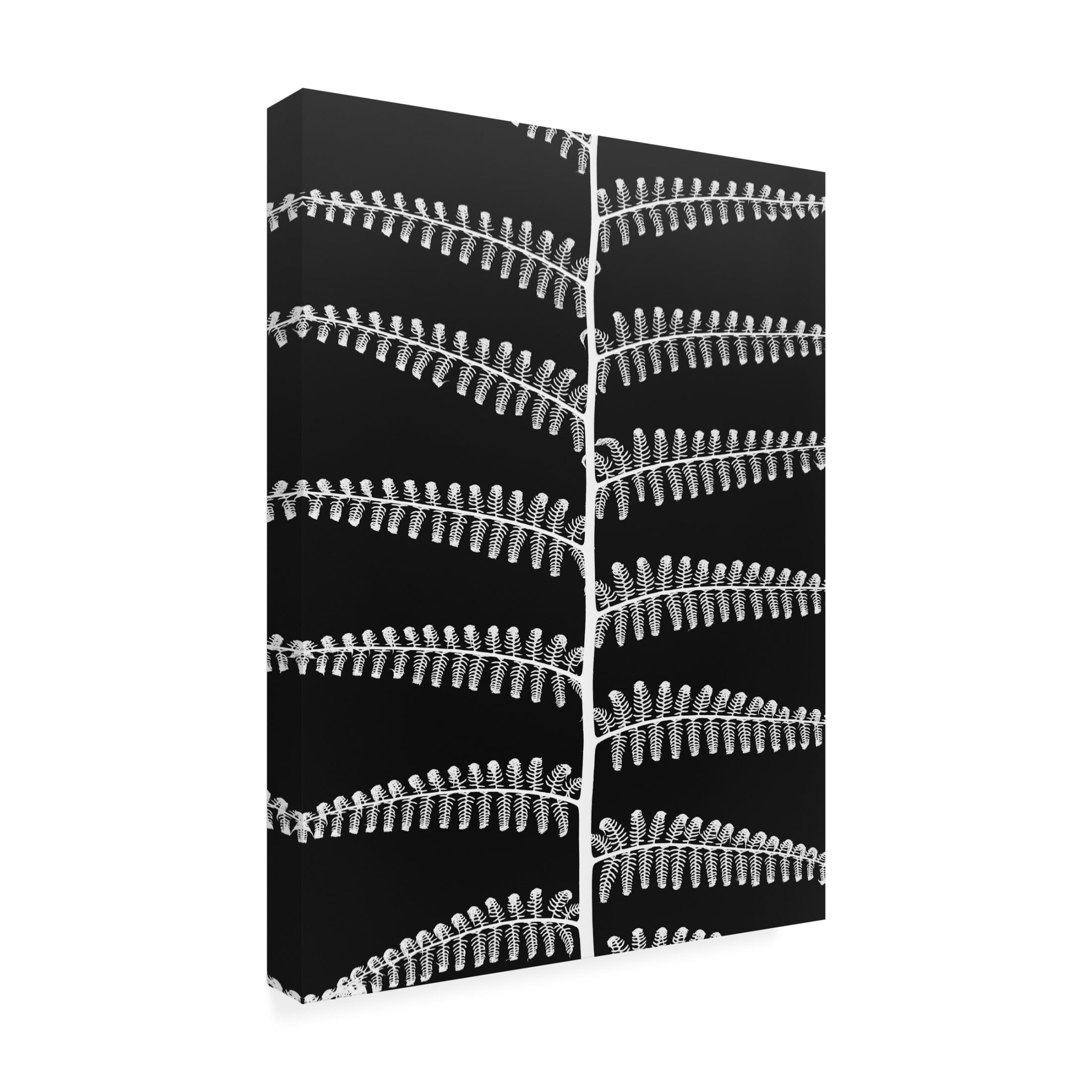 Trademark Fine Art Shot by Clint Mami Canvas Wall Art