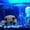 3pcs, variant on Folding Aquarium Decoration Rock Caves, Ceramic Fish Tank Hideout Cave Ornaments for Territorial Fish Cichlid Hiding Breeding - 3pcs